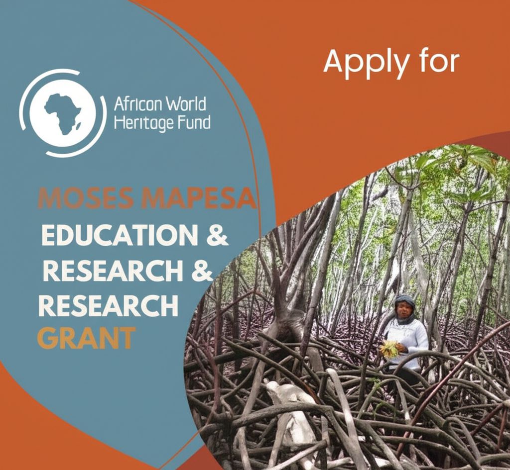 1751401264387_16681488480053901089 Call for Applications: 2026 Moses Mapesa Research Grant for African Students