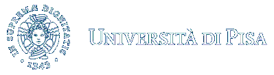 image-22 University of Pisa DSU Scholarship 2025: Study in Italy for Free