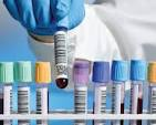 image-4 What Is the Difference Between Medical Laboratory Science and Biomedical Science? 2025 career prospects